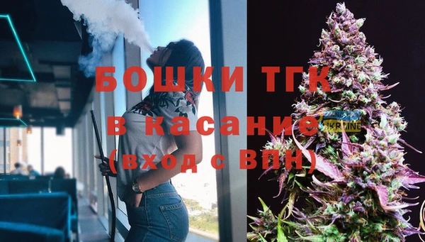 трава Белокуриха