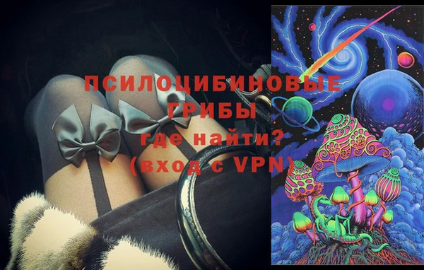 трава Белокуриха