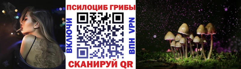 Псилоцибиновые грибы Psilocybine cubensis  цены   Владимир 